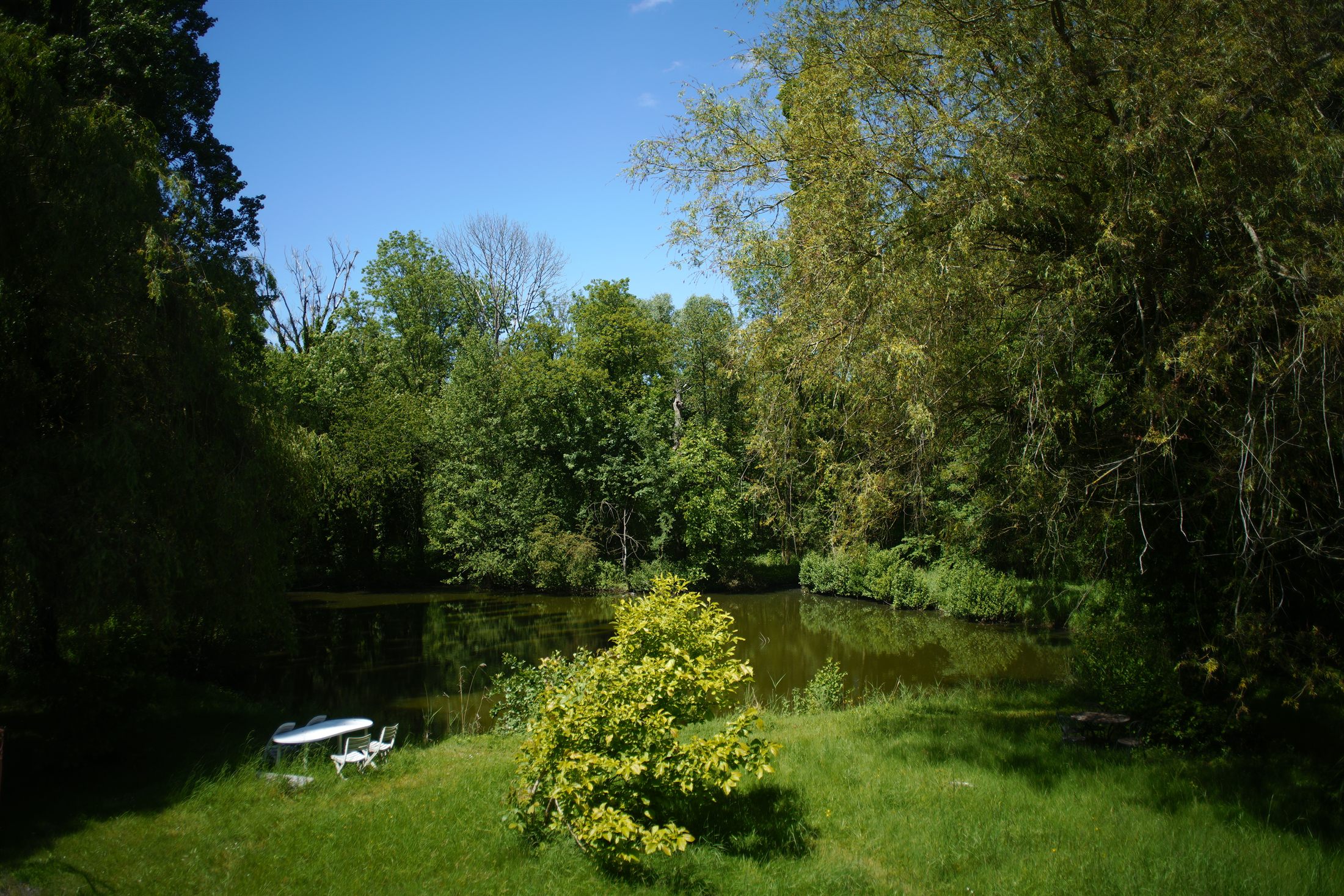 Jardin arboré au bord de l'étang des Grands Aulnes au printemps