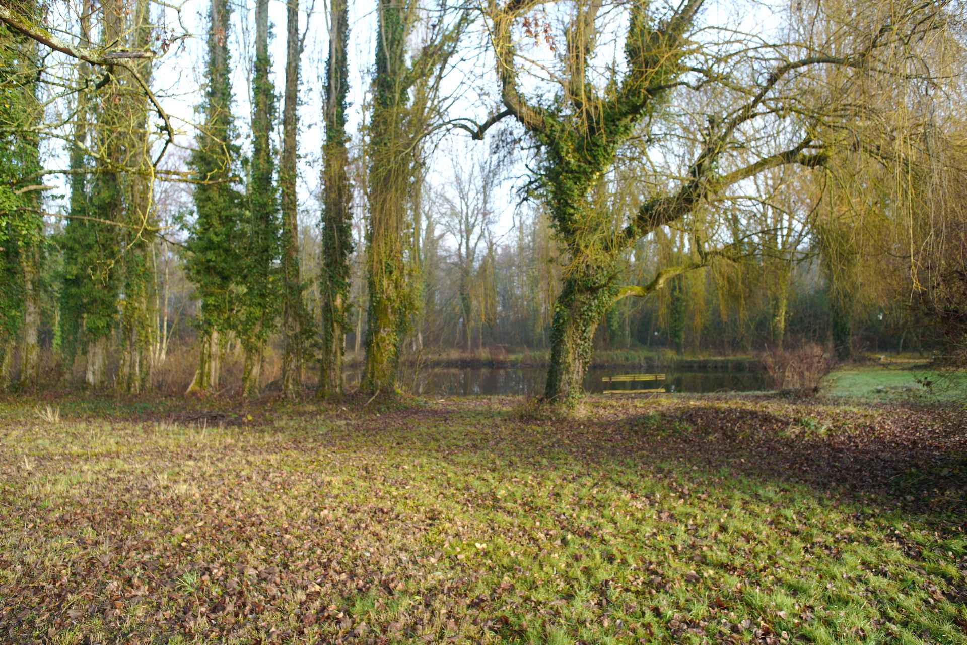 Jardin privé au bord de l'étang pour événements familiaux et anniversaires à Meung-sur-Loire Loiret
