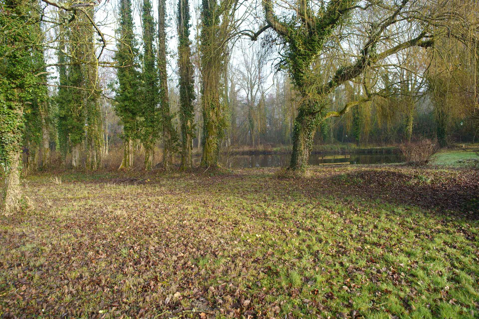 Vue d'ensemble du jardin des Grands Aulnes lieu de réception nature petit comité à Meung-sur-Loire Loiret
